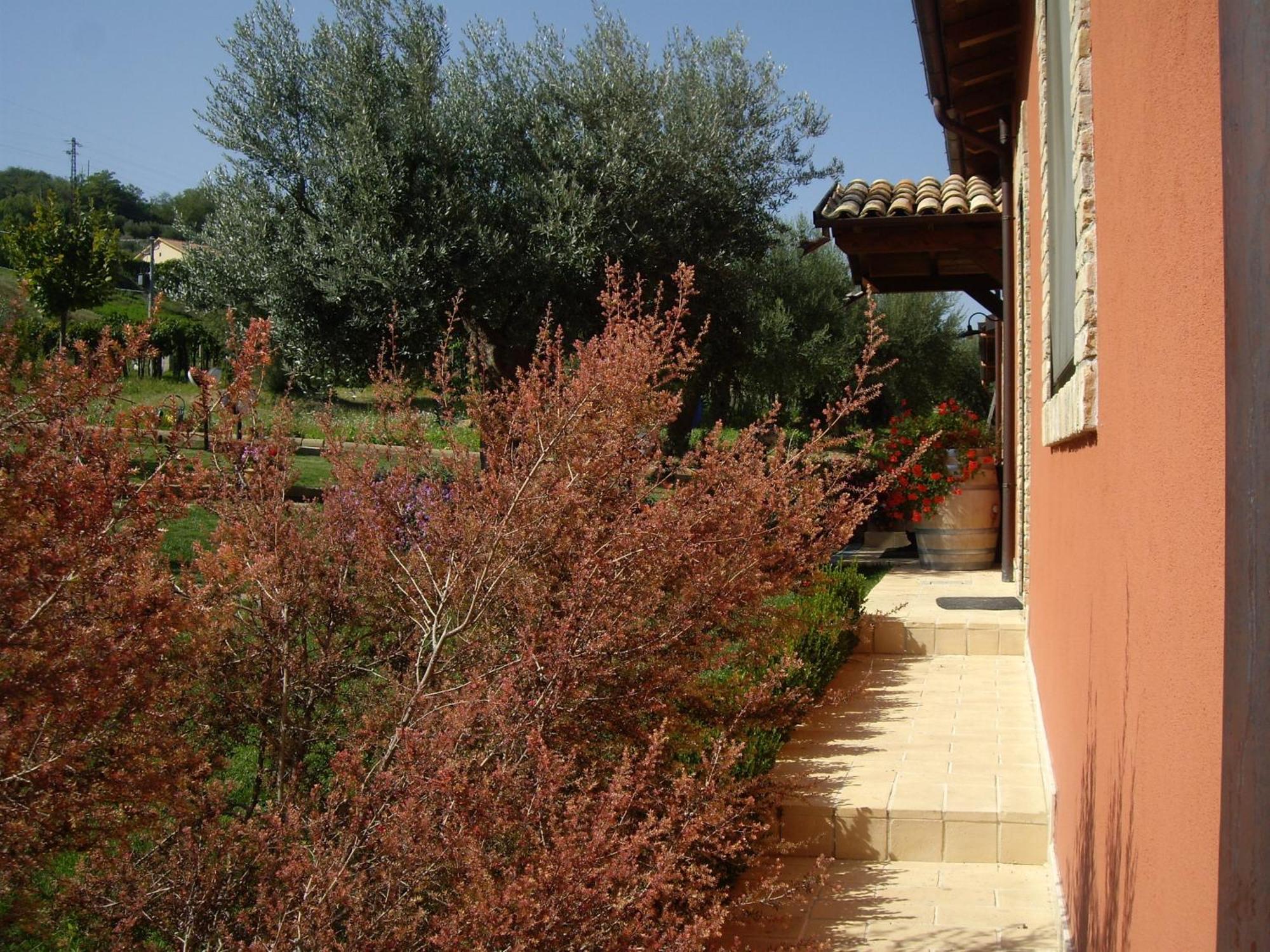 Agriturismo Il Borgo Degli Ulivi Roseto Degli Abruzzi Esterno foto
