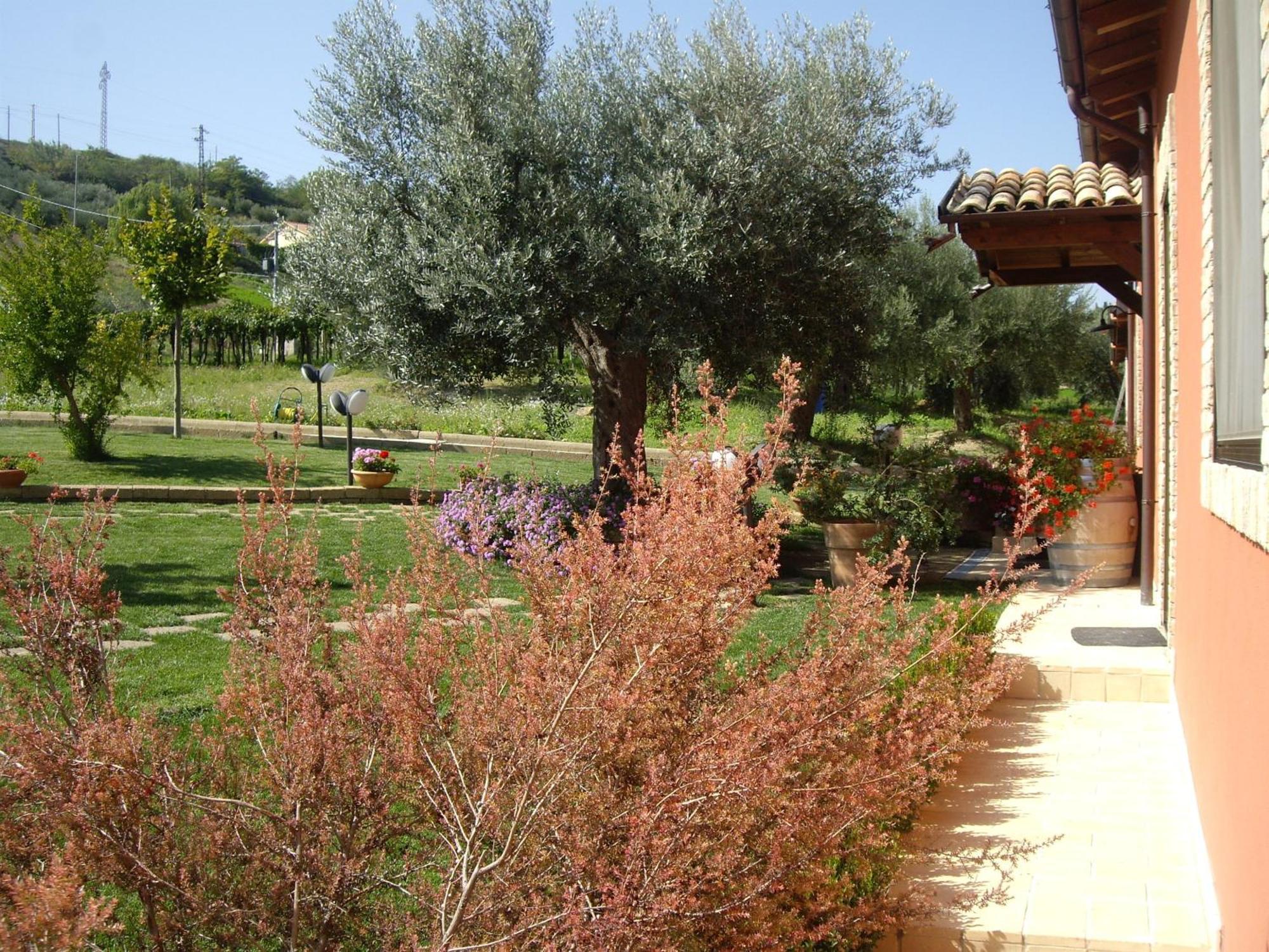 Agriturismo Il Borgo Degli Ulivi Roseto Degli Abruzzi Esterno foto