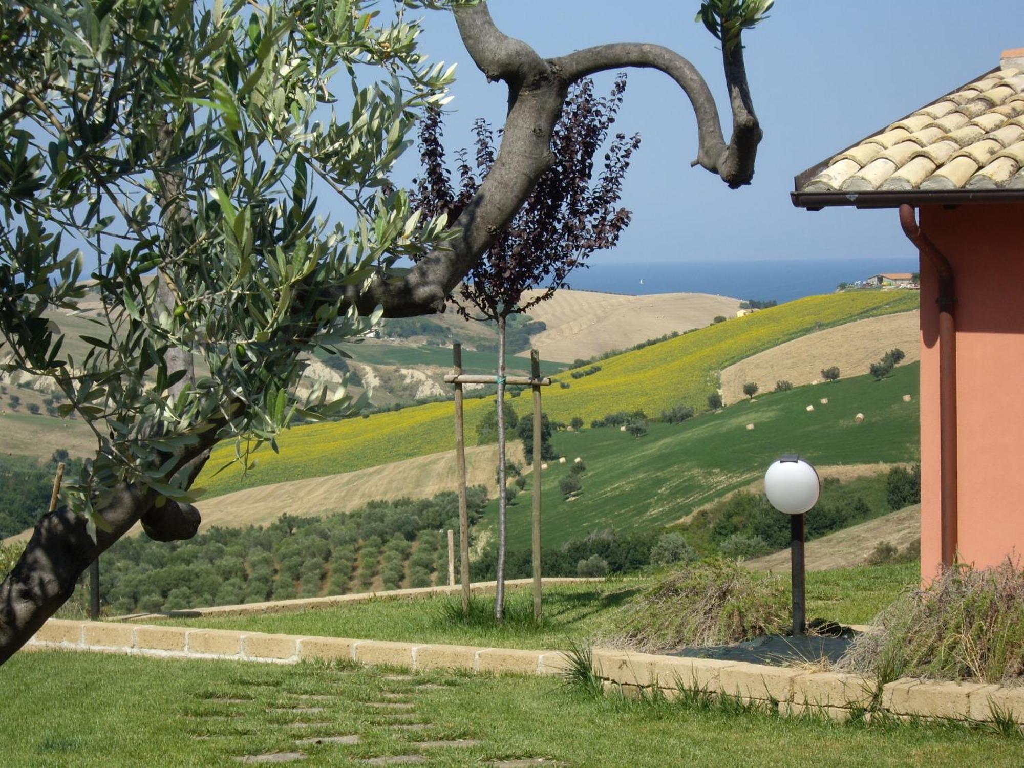 Agriturismo Il Borgo Degli Ulivi Roseto Degli Abruzzi Esterno foto